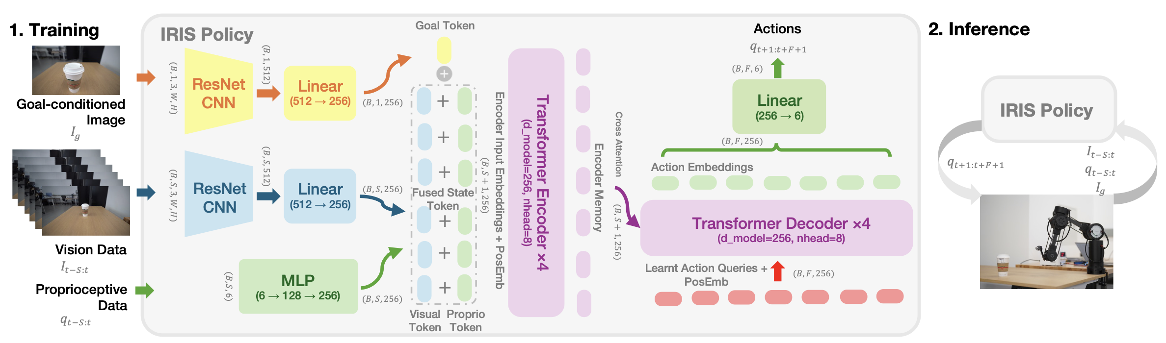 IRIS model architecture