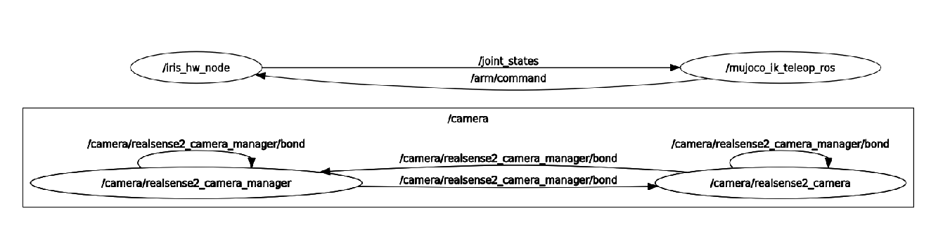 IRIS ROS node graph