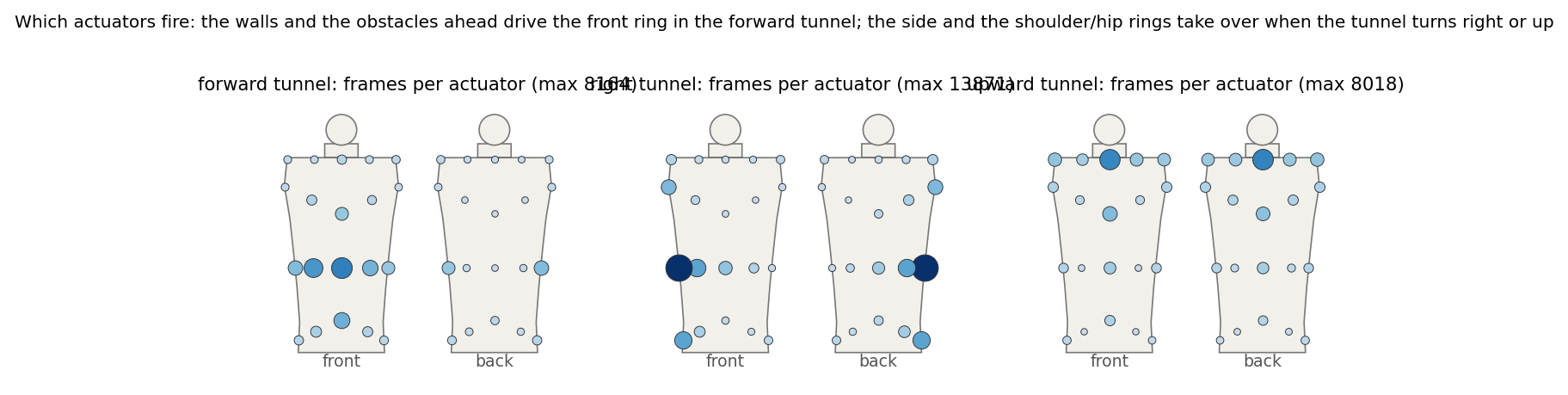 Body maps with the number of frames each actuator fired, per tunnel direction