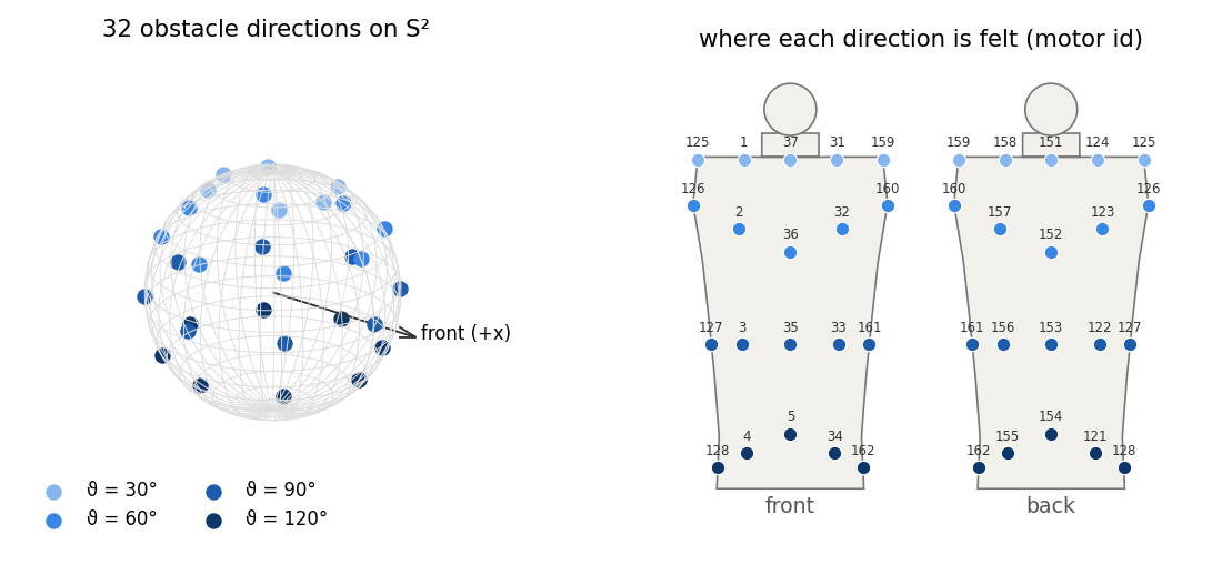 The 32 directions on the sphere and the front and back body maps with motor ids